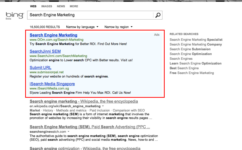 Bing Pay Per Click (PPC) Sample